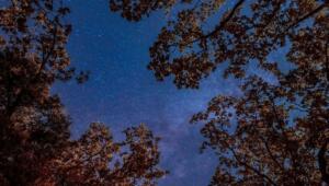 8c15559b1289039b7ced956b0b60fd57 1 Економічні новини - головні новини України та світу