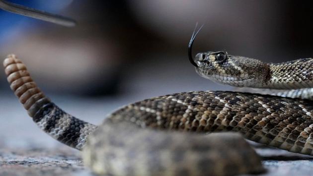 8e9978d60e1279da7a04235a1ce8c7cd Економічні новини - головні новини України та світу