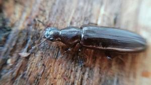 a158e7e659c09ba61f9c46fe4401bb09 Економічні новини - головні новини України та світу