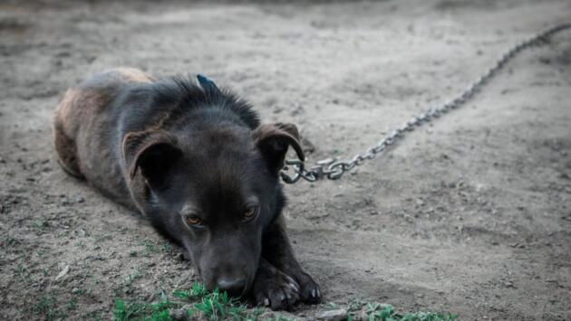 b603027a6249efa7fecec5475f36700e Економічні новини - головні новини України та світу