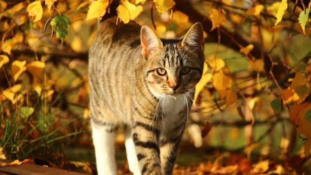 b80d491448a339da726e6e55b345721e Економічні новини - головні новини України та світу