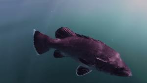 c74397f4a2c4caeddf82bd1e58b874b2 Економічні новини - головні новини України та світу