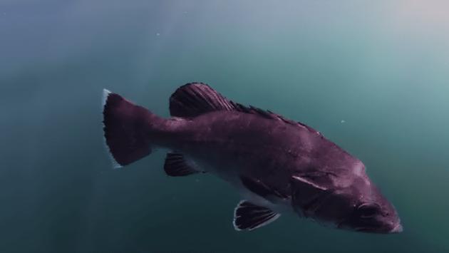 c74397f4a2c4caeddf82bd1e58b874b2 Економічні новини - головні новини України та світу