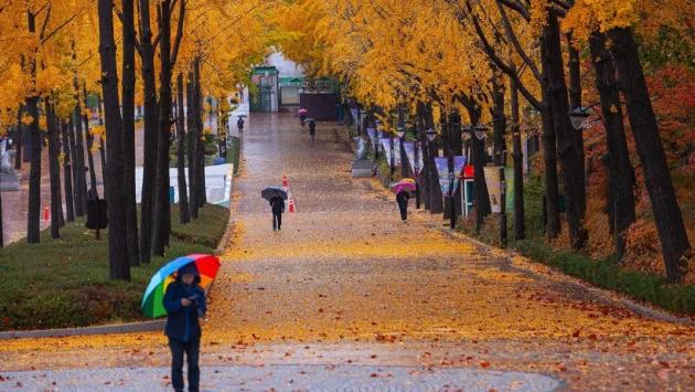 canvas 48474291920 Економічні новини - головні новини України та світу