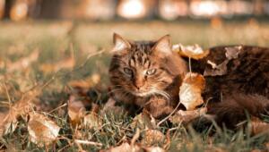 df795323aed9dcb180d70cb968f3d9ec Економічні новини - головні новини України та світу