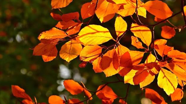 fall 45641681920 Економічні новини - головні новини України та світу