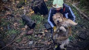 izobrazhenie viber 2025 10 30 10 33 41 352 Економічні новини - головні новини України та світу