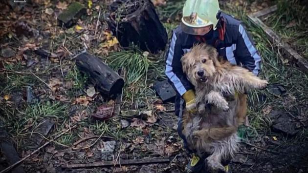 izobrazhenie viber 2025 10 30 10 33 41 352 Економічні новини - головні новини України та світу