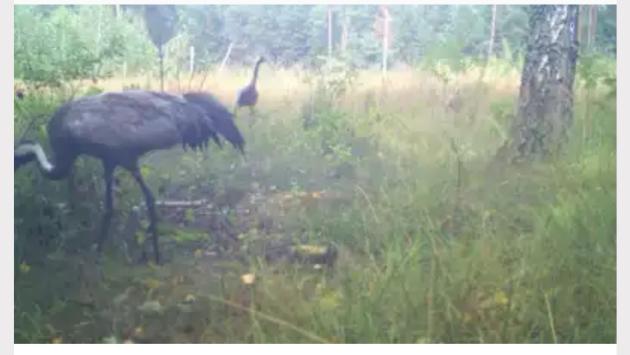 izobrazhenie viber 2025 10 31 14 08 38 771 Економічні новини - головні новини України та світу