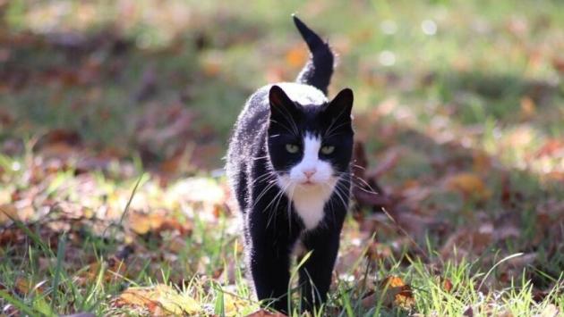 mkna4sboovqapi44rhhhwxarc5pybgno 1 Економічні новини - головні новини України та світу