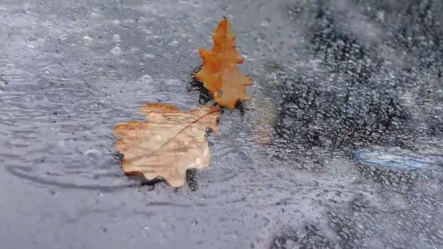 wl5bers2gmygfp9u3uuvlaz9hjmd7aq2 Економічні новини - головні новини України та світу