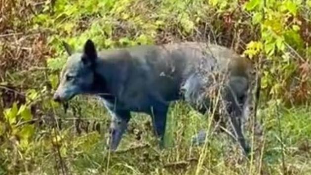 0ec20f8cdd168574ae5a0e7894f65f1a Економічні новини - головні новини України та світу