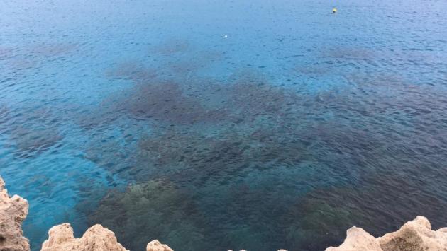 1548828483 4350 Економічні новини - головні новини України та світу