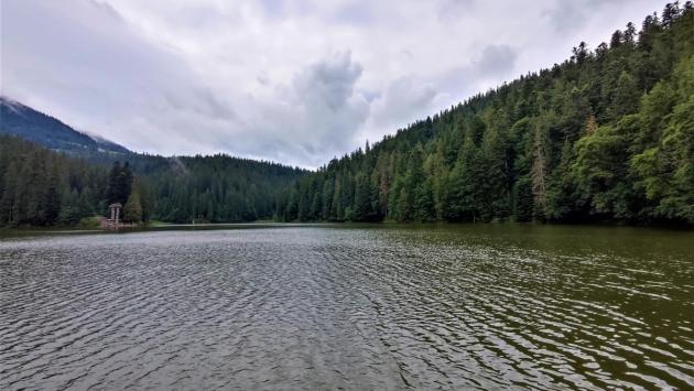 1629469038 2101 Економічні новини - головні новини України та світу