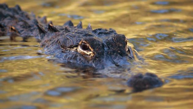 1632417228 3592 1 Економічні новини - головні новини України та світу
