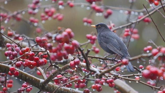 1663057838 1463 Економічні новини - головні новини України та світу
