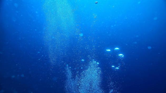 1726860699 2924 Економічні новини - головні новини України та світу