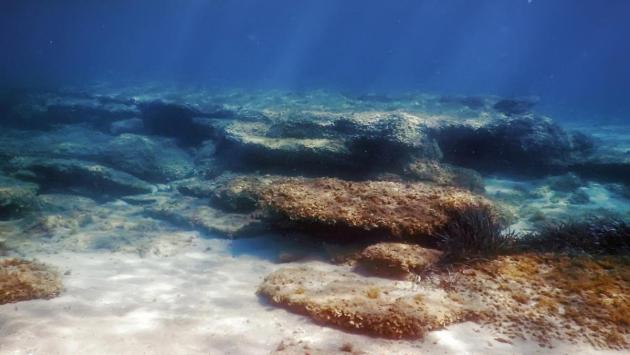 1739364985 7018 1 Економічні новини - головні новини України та світу