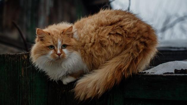 1758634982 8986 Економічні новини - головні новини України та світу