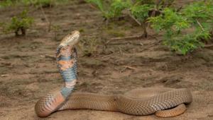 1761926090 4242 Економічні новини - головні новини України та світу