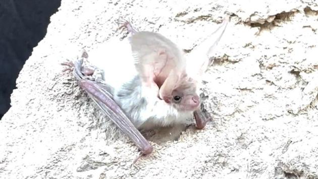 1762338921 3690 Економічні новини - головні новини України та світу