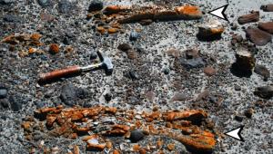 1762344164 7206 Економічні новини - головні новини України та світу