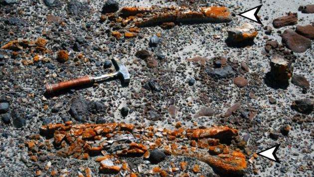 1762344164 7206 Економічні новини - головні новини України та світу