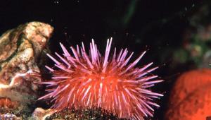 1762878955 4696 Економічні новини - головні новини України та світу