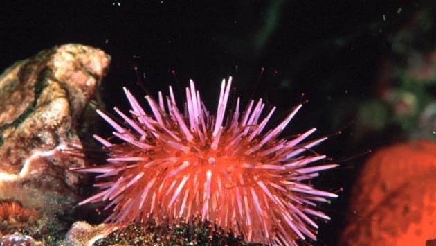 1762878955 4696 Економічні новини - головні новини України та світу