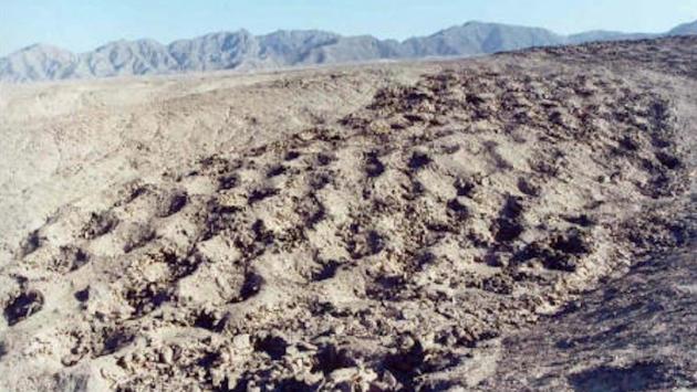 1763133498 8173 Економічні новини - головні новини України та світу