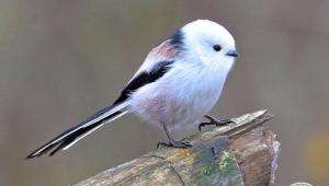 1763972753 2548 Економічні новини - головні новини України та світу