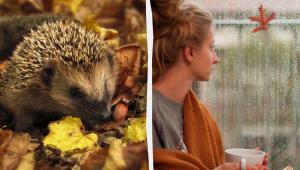 1763993446 3798 Економічні новини - головні новини України та світу