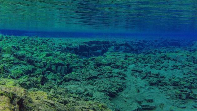 1bfa16c9f001fe6981d80f2c6886b0eb 2 Економічні новини - головні новини України та світу