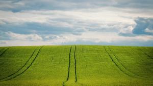 2941782 Економічні новини - головні новини України та світу