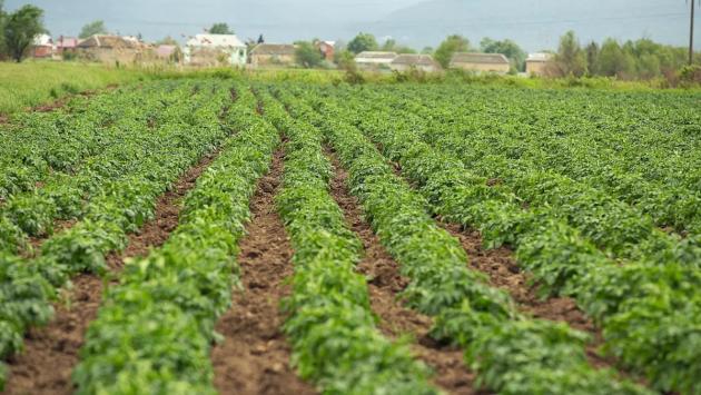 2945524 Економічні новини - головні новини України та світу