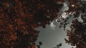 2949099 Економічні новини - головні новини України та світу