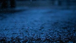 2949531 Економічні новини - головні новини України та світу