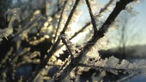 2952795 Економічні новини - головні новини України та світу