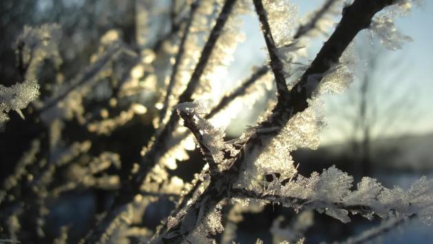 2952795 Економічні новини - головні новини України та світу