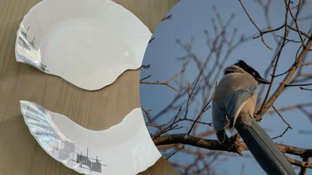 2957333 Економічні новини - головні новини України та світу