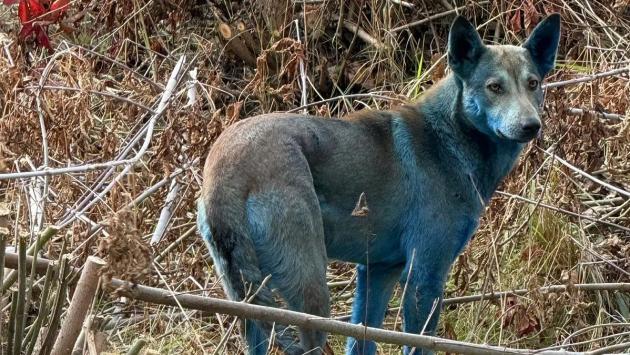 2962436 Економічні новини - головні новини України та світу