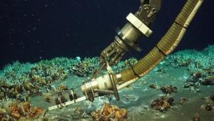 29 main v1763850936 Економічні новини - головні новини України та світу