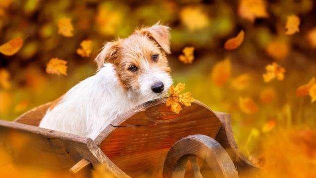 2f1164e167b79b1c9ccf6f635c2f9372 Економічні новини - головні новини України та світу