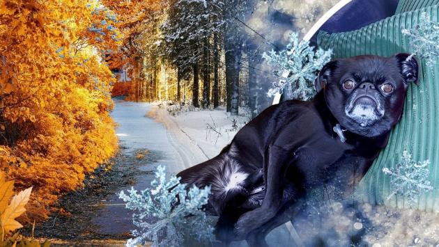 37a8abd6f93b3083898b45bba187bfec Економічні новини - головні новини України та світу