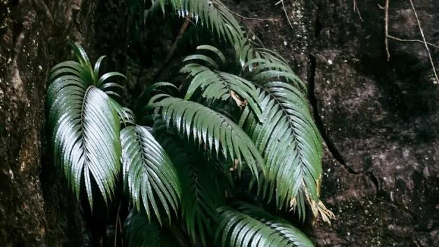 53 main v1763195139 Економічні новини - головні новини України та світу