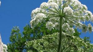 5816de6f1876b1c6f1ad77ade931014d Економічні новини - головні новини України та світу