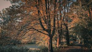 64a1162a9dfeac6881204afadabfb514 Економічні новини - головні новини України та світу