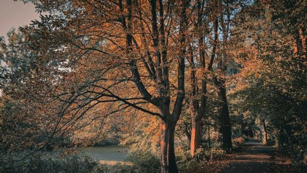 64a1162a9dfeac6881204afadabfb514 Економічні новини - головні новини України та світу