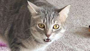 67bae83651bd259b5bc6273589aa8a0f Економічні новини - головні новини України та світу