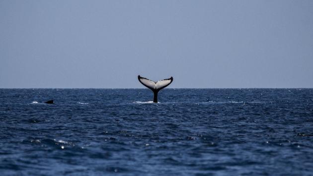 6b520707219c67c3bb913db65451c510 Економічні новини - головні новини України та світу